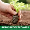 Giilayky Pack of 50 Growing Sponges, Replacement Root for Seeds,