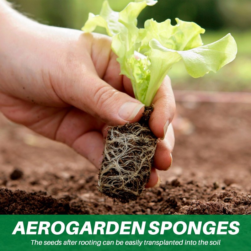 Giilayky Pack of 50 Growing Sponges, Replacement Root for Seeds,