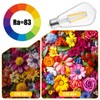 Brightown 6 Pack LED Edison Light Bulbs, 6W, Equivalent 60W,