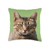 Portrait Of A Cute Tabby Cat With Eye Contact Vector