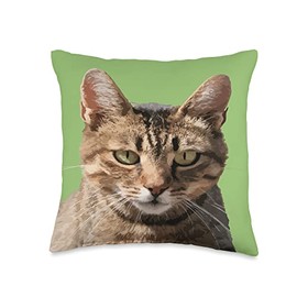 Portrait Of A Cute Tabby Cat With Eye Contact Vector Throw Pillow