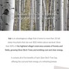 ROUND LAB [ROUND LAB]*renewal* Birch Moisture Tone-Up Sunscreen 50ml