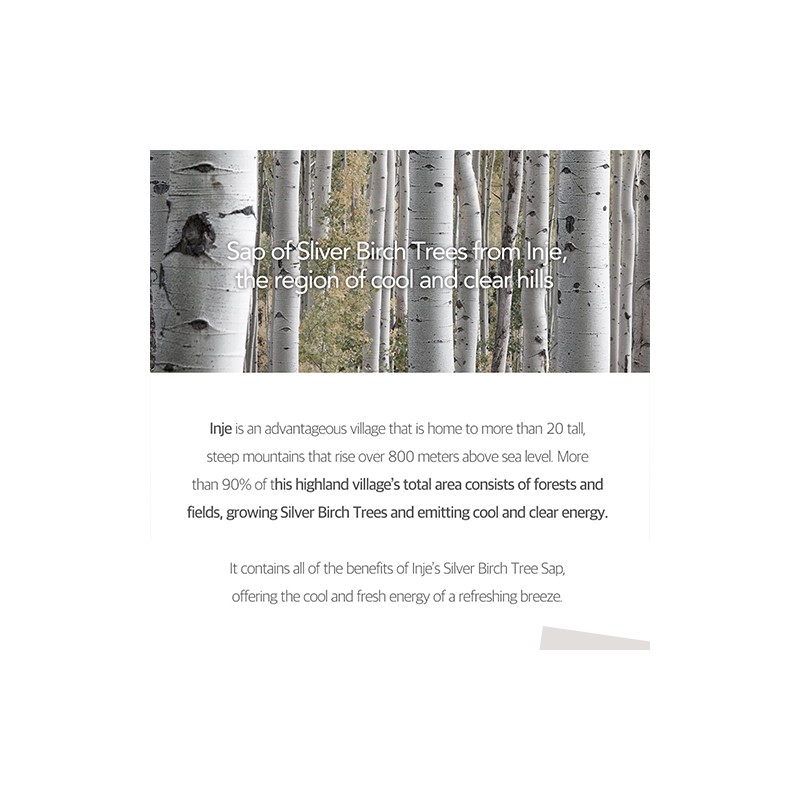 ROUND LAB [ROUND LAB]*renewal* Birch Moisture Tone-Up Sunscreen 50ml
