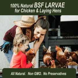 Adaman Dried Black Soldier Fly Larvae 4 LBS-100% Natural Non-GMO BSF Larvae-More Calcium Than Dried Mealworms High-Protein Chickens Treats, Food for Wild Birds, Ducks, Layer Hens