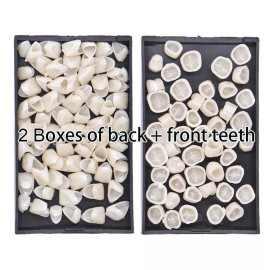 Unbranded 2Boxes Resin Anterior Back Dental Temporary Porcelain Crown Veneers Stable Teeth - Front+Back Teeth Set