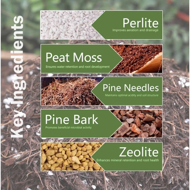 Soil Sunrise Special Nutrient Soil for Clivia Potting Soil Mix,