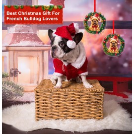 FLYAB French Bulldog Christmas Ornament 2024 French Bulldog Ornament for Christmas Tree French Bulldog Gifts for Women Dog Christmas Tree Ornament Gifts for French Bulldog Lovers Dog