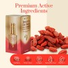 24K Gold Collagen & Squalene Luxury Anti Aging Eye Serum