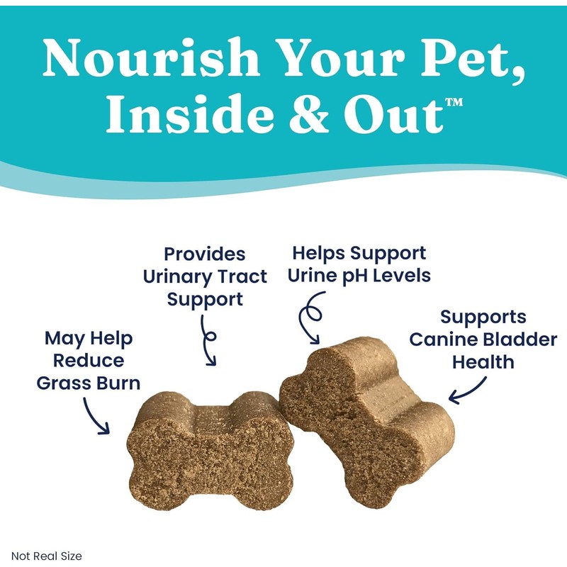 Solid Gold Grass Guardian Chews for Dogs - 10 Count