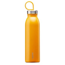 Aladdin Botella de agua de acero inoxidable Coolled Thermavac de 0,55 l, color amarillo sol, botella de agua de metal aislada, mantiene el frío durante 9 horas, termo sin BPA, a prueba de fugas, apta para lavaplatos