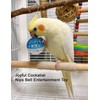 DIYUQISHI 12-Pack Bird Bell Ball Chew Toys, Non-Toxic PP, Cage