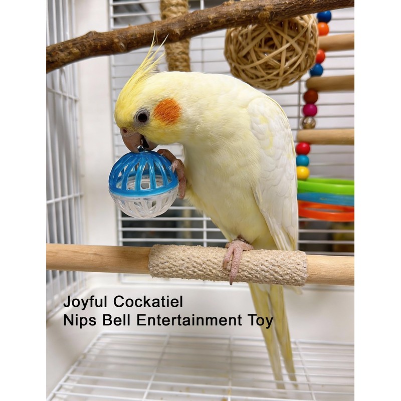 DIYUQISHI 12-Pack Bird Bell Ball Chew Toys, Non-Toxic PP, Cage