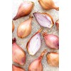 Generic Fresh Shallots, USA Grown, Non-GMO, Allium schoenoprasum (Sweet Onion),