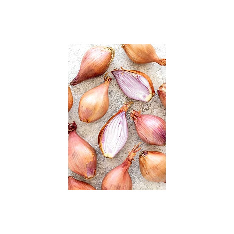 Generic Fresh Shallots, USA Grown, Non-GMO, Allium schoenoprasum (Sweet Onion),