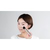 Kobako KAI PQ3047 Blush Brush (Slide) Portable Restoration Teak Brush