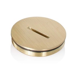 Leviton 25249-CAP Replacement Screw Cap with O-Ring for Duplex Floor Box Brasswith Clear Coating