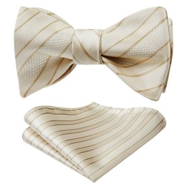 HISDERN - Pajaritas de lazo para hombre, corbata de lazo a rayas para hombre, pañuelo formal de esmoquin para boda, corbatín y bolsillo cuadrado, 01-champán, Talla única