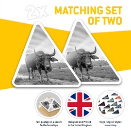 2 x Triangle Stickers 7.5cm - BW - Carabao Buffalo Philippines Fun Decals for Laptops,Tablets,Luggage,Scrap Booking,Fridges #38977