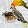 3 Pack Bird Feeding Dish Cups Bird Cup Stainless Steel