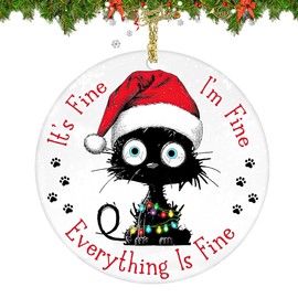 Black Cat Christmas Ornaments 2024 - Funny Cat Christmas Tree Ornaments - Christmas Decor Cat Lover Gifts for Wome, Gifts for Cat Lovers - 2D Acrylic Round Ornaments (Black Cat Santa)