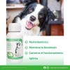 Ruiland® Vetri Cofactor 60 Tabletas Vitaminas Para Perro