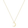 Fettero Moon Gold Pendant Necklace for Women Layered Necklaces Coin