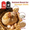 Crazydeer 2 Pack Chicken Grit and Oyster Shell Feeder, Metal