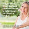 Organika Organika Rhodiola 100mg 6:1 Extract- 3% Rosavins, 1% Salidroside-