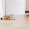 MJIYA Reflective Cat Collar with Bell, Breakaway Grid Collar with