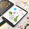 Suziko Large Flower Press Kit 11.8 x 8.7 inch 6