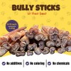 Woofley's 4-5" Bulk Regular Bully Sticks - (20 Count) -