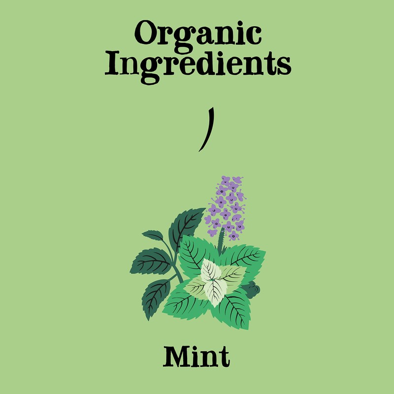 Clipper Tea Mint Herbal Teabags – Caffeine Free, USDA Organic,