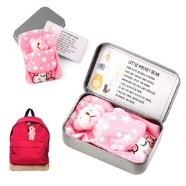 Little Pocket Bear Hug, Mini Teddy Bear in a Tin Box Plush Toy Stuffed Animal Bear Cute Doll Decoration Key Chain Hug Love Token Christmas Birthday Graduation Gifts for Children Women Friend (Pink)