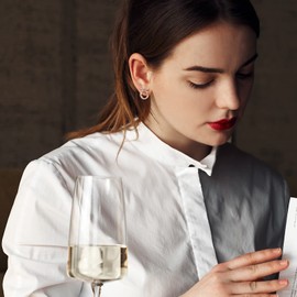 Rose Gold Circle Cubic Zirconia Stud Earrings for Women