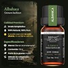 BIENAT AROMATERAPIA Aceite Esencial de Albahaca 10mL