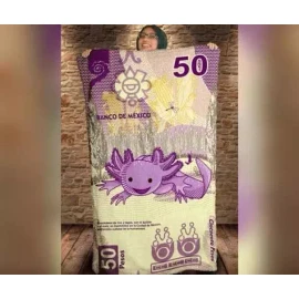 RIVERSOFY Frazada Ajolote Cobija Billete 50 Tela Polar Suave 110x160cm