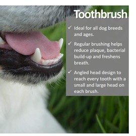 Vet Worthy Toothbrushes for Dogs (Set of 3)