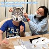 soleim 14 Pcs DIY Wolf Mask Kit – Blank Wolf