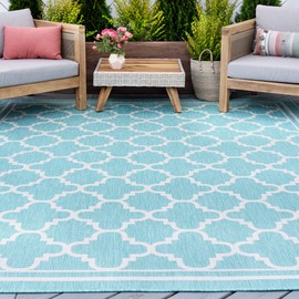 Aqua Water Resistant 5x7 Indoor Outdoor Rug | Outdoor Rugs for Patios, Deck, Porch, Entry, Entryway | Outside Area Rug | Outdoor Patio Rug