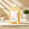 Shampoo Jengibre para Cabello Graso - Cuero Cabelludo Fresco, Control