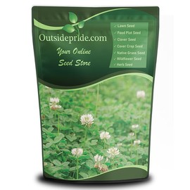 Outsidepride Perennial White Dutch Clover Seed - 1 lbs. Nitrocoated, Inoculated Clover Seeds for Lawn Alternative, Erosion Control, Food Plots, Ground Cover, & Pasture Mixtures in USDA Zones 3-10