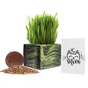 Cali Kiwi Pros Best value Organic Cat grass Starter kit,
