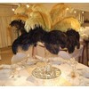 Shekyeon 12-14inch(30-35cm) Ostrich Feathers Plumes for Wedding Centerpieces Pack of