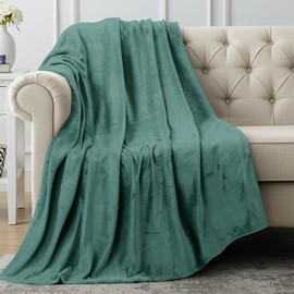 Utopia Bedding Fleece Blanket Throw Size Celadon 300GSM Luxury Anti-Static Fuzzy Soft Microfiber Blanket for Couch, Sofa and Bed (60x50 Inch)