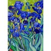 CafePress Van Gogh Irises 1889 Rectangle Magnet, 3"x2" Refrigerator Magnet