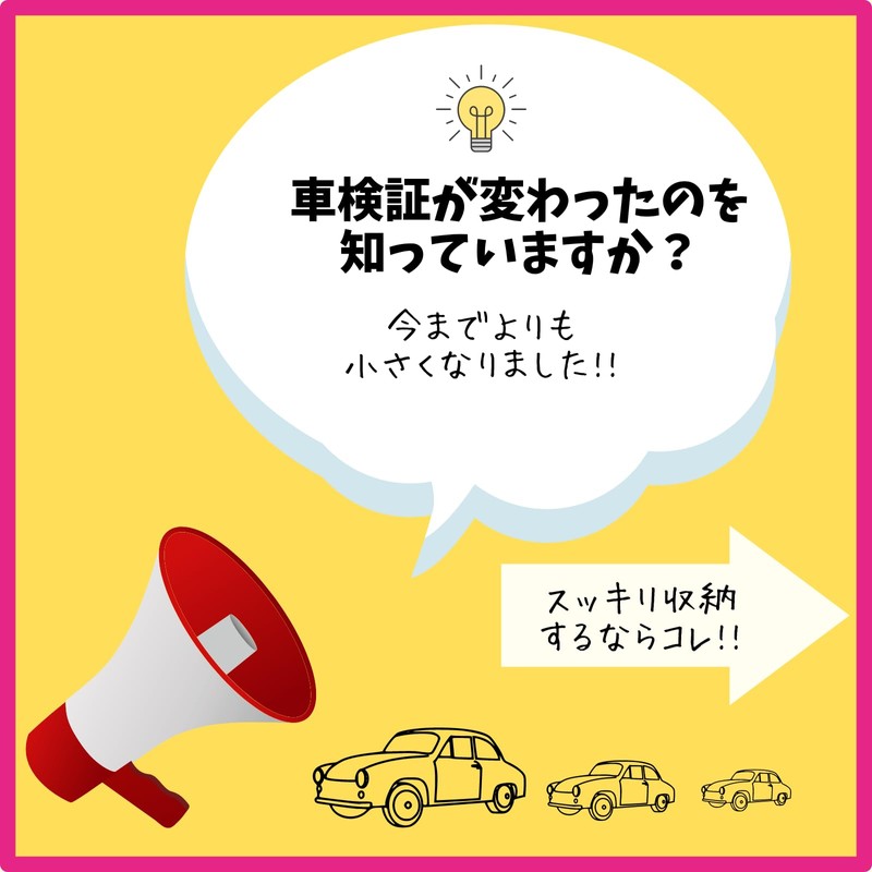 andsand. Thin Leather Cord Electronic Vehicle Verification Case, Car Verification