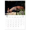 Squirrels - Tiny Explorers (Monthly Wall Calendar 2026 16.5" x