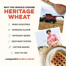 Sunrise Flour Mill USDA Organic 7-Grain Heritage Pancake Mix | Enjoy Fluffy & Tasty Waffles | Easier to Digest with Less Bloating | Zero Additives (5 lbs)