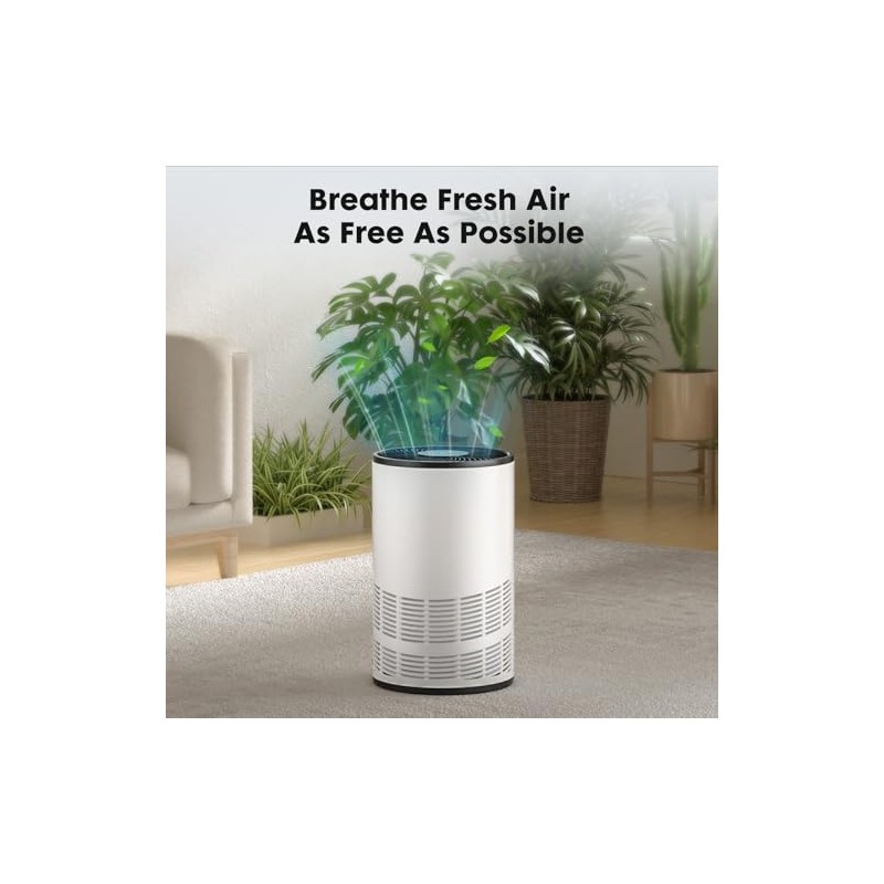 OLIXIS Replacement Filter 1 pc,Obly for OLIXIS 3-in-1 Filter with