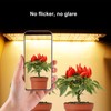 LED Plant Growth Light Board Full Spectrum Supplement Light for